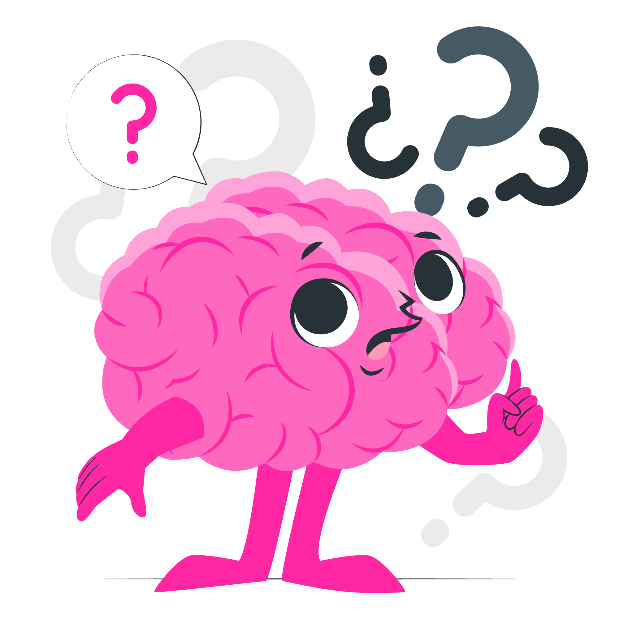 Brainquests en Acción